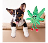 PAW:20 - MJ the Marijuana Leaf 420 Dog Toy