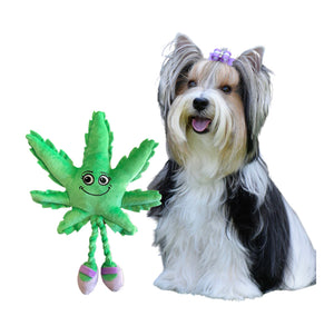 PAW:20 - Mary Jane Leaf Dog Toy